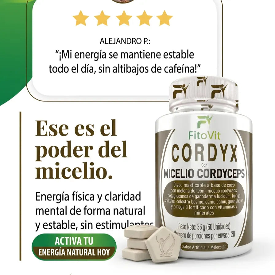 🍄CORDYX X60🧠