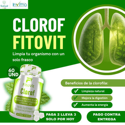 🍃CLOROFILA CARAMELO NATURAL X60 UND🍃