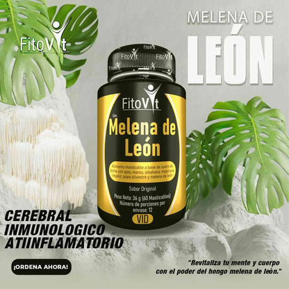 🧠MELENA DE LEON X 60 UND FITOVIT✨