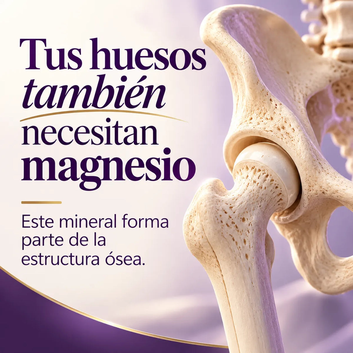 💤 Bisglicinato de Magnesio - 100 gelatinas blandas 💪