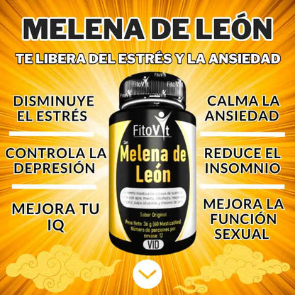🧠MELENA DE LEON X 60 UND FITOVIT✨