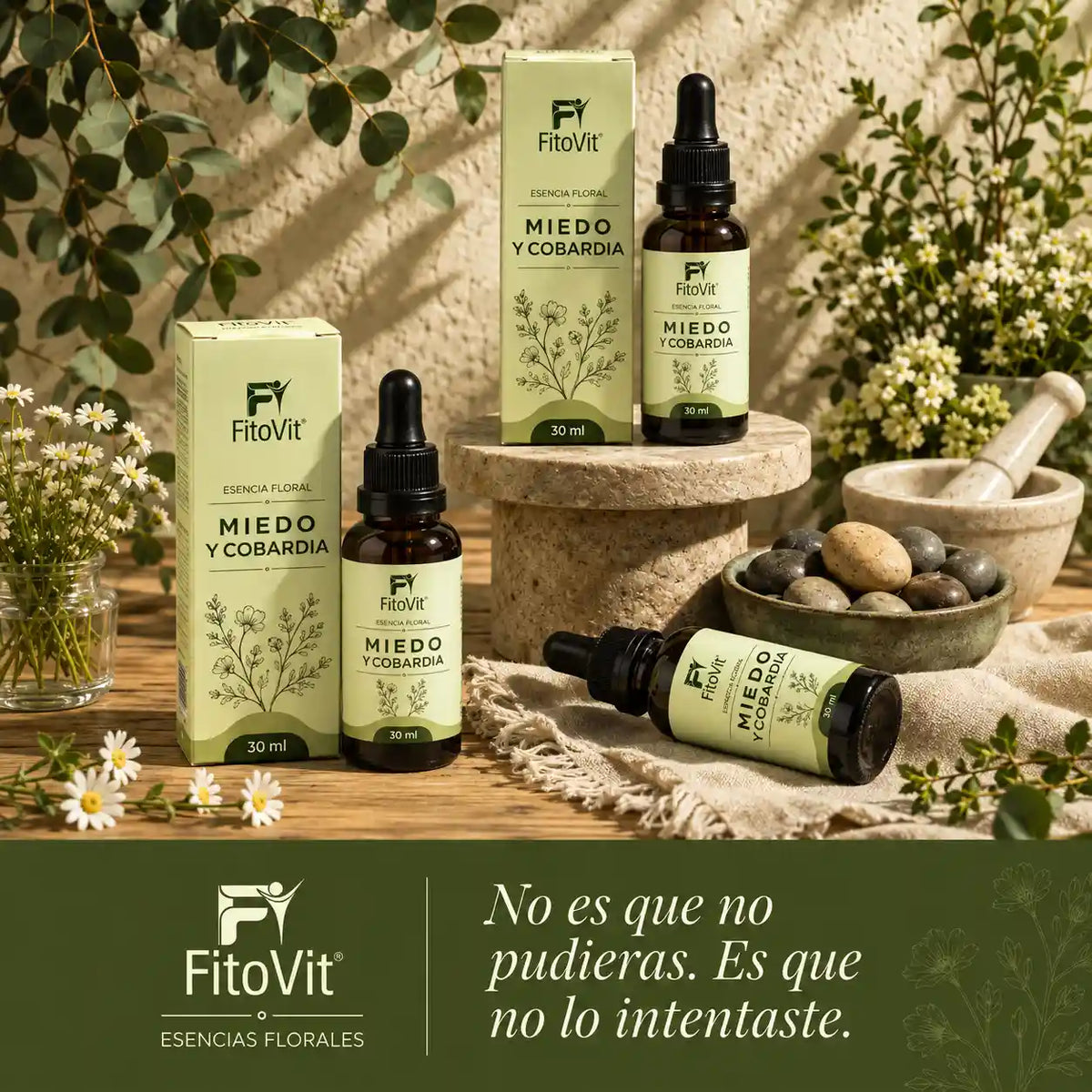🌿Miedo y Cobardía - 30 mililitros 😌