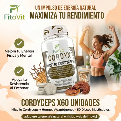 🍄CORDYX X60🧠