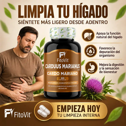 🌿Carduus Marianus - 60 Capulas💊