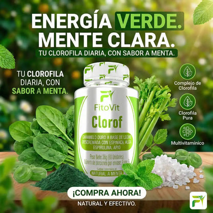 🍃CLOROFILA CARAMELO NATURAL X60 UND🍃