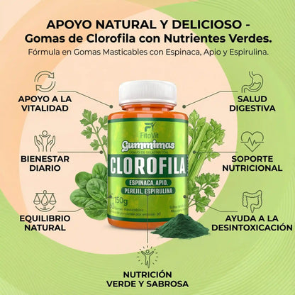 🌿CLOROFILA GOMITAS FITOVIT X60UND♻️